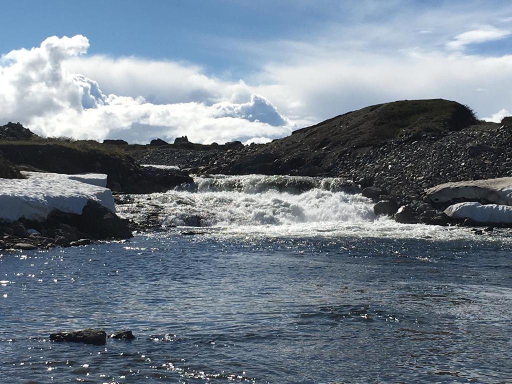 Asele Camping Villa Exteriör bild